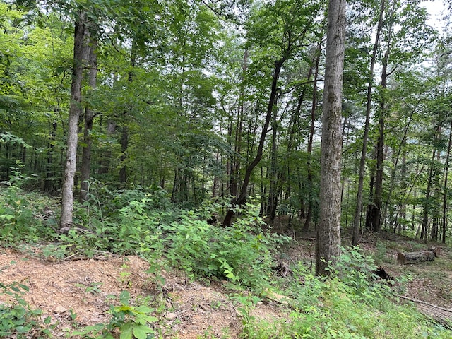 LotC Freeman Branch Road, East Bernstadt, KY 40729