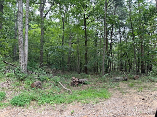 LotC Freeman Branch Road, East Bernstadt, KY 40729