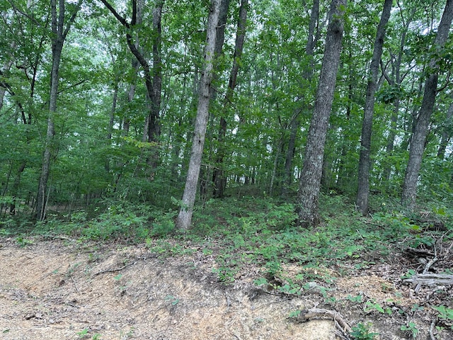 LotC Freeman Branch Road, East Bernstadt, KY 40729