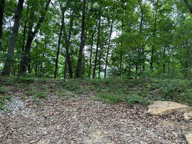 LotC Freeman Branch Road, East Bernstadt, KY 40729