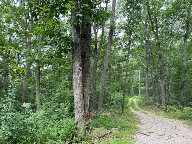 LotC Freeman Branch Road, East Bernstadt, KY 40729