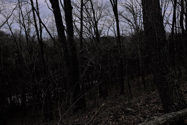 LotC Freeman Branch Road, East Bernstadt, KY 40729