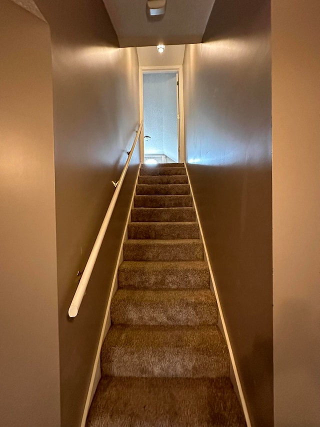 stairs featuring carpet