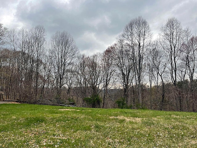 LOT91 Stillwater, Russell Springs KY, 42642 land for sale