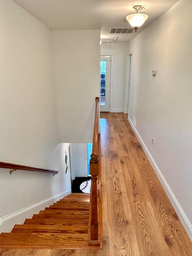 stairs with light hardwood / wood-style flooring