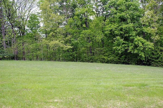 LOT35 Laurelwood, Nancy KY, 42544 land for sale