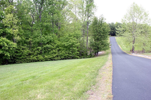 Listing photo 3 for LOT35 Laurelwood, Nancy KY 42544