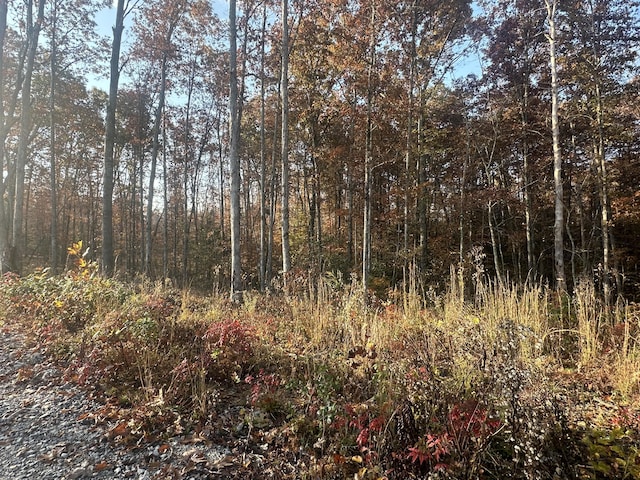 1706 Adams Rd, Corbin, KY 40701