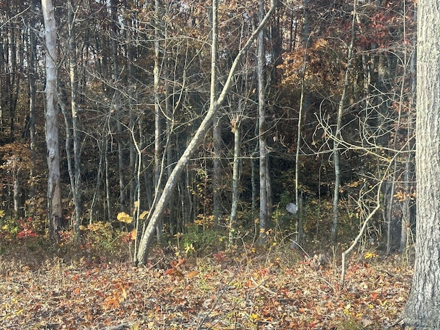 1706 Adams Rd, Corbin, KY 40701