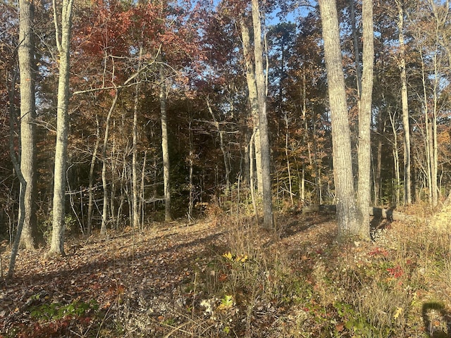 1706 Adams Rd, Corbin, KY 40701