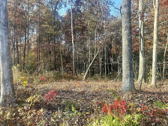 1706 Adams Rd, Corbin, KY 40701