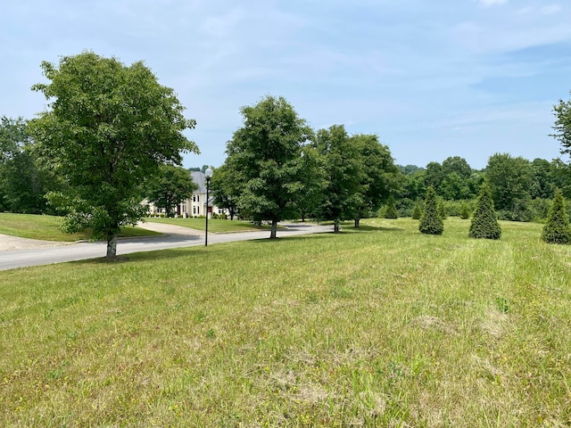 170 Waitsboro Dr, Somerset KY, 42503 land for sale