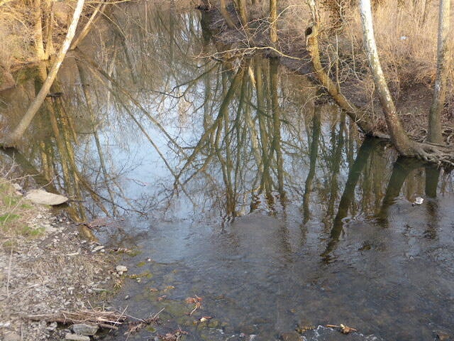 view of local wilderness featuring a water view