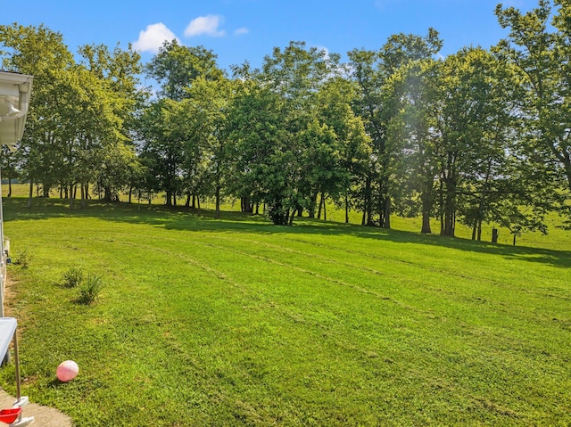 view of yard