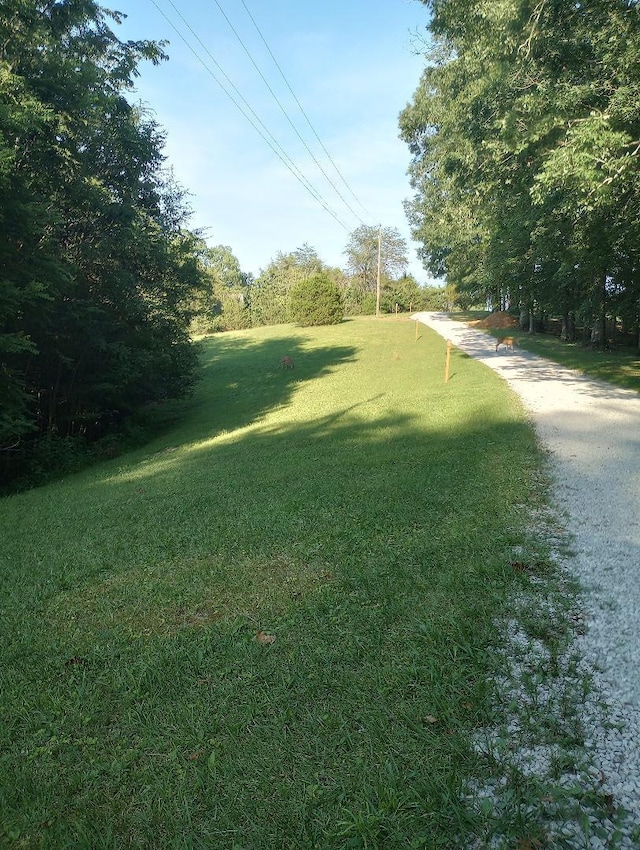 1926 Greenbriar Rd, Monticello KY, 42633 land for sale