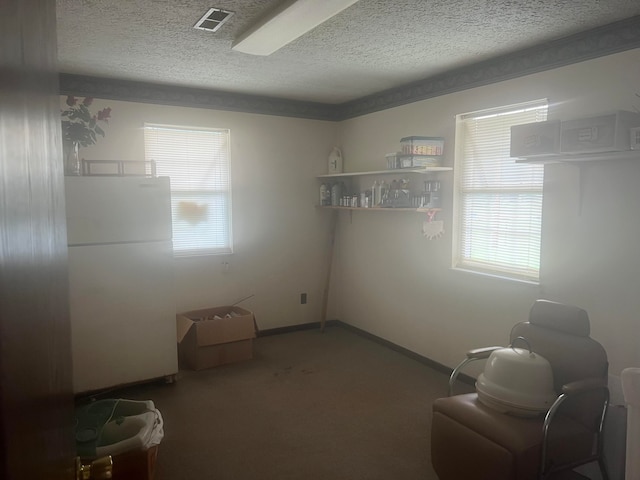 carpeted spare room with a textured ceiling