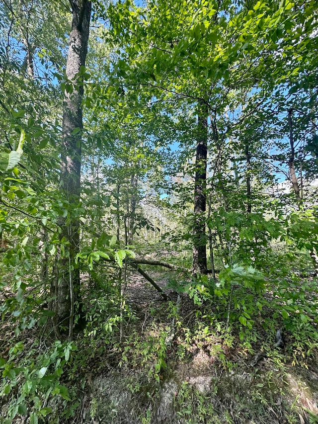 1800 Rice Rd, Morehead KY, 40351 land for sale