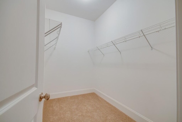 spacious closet with light colored carpet