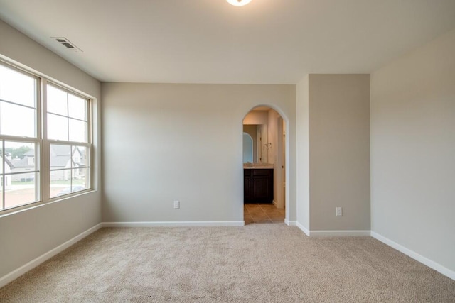 empty room featuring plenty of natural light and light colored carpet