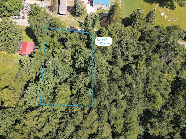 LOT917 Foxborough Ct, Burnside KY, 42519 land for sale