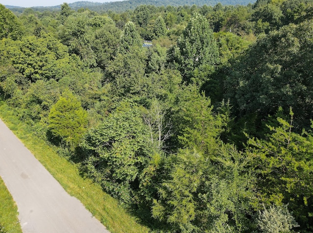 Listing photo 3 for LOT693 Briarwood Dr, Burnside KY 42519