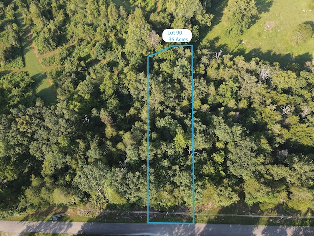 LOT90 Lakeshore Dr, Burnside KY, 42519 land for sale