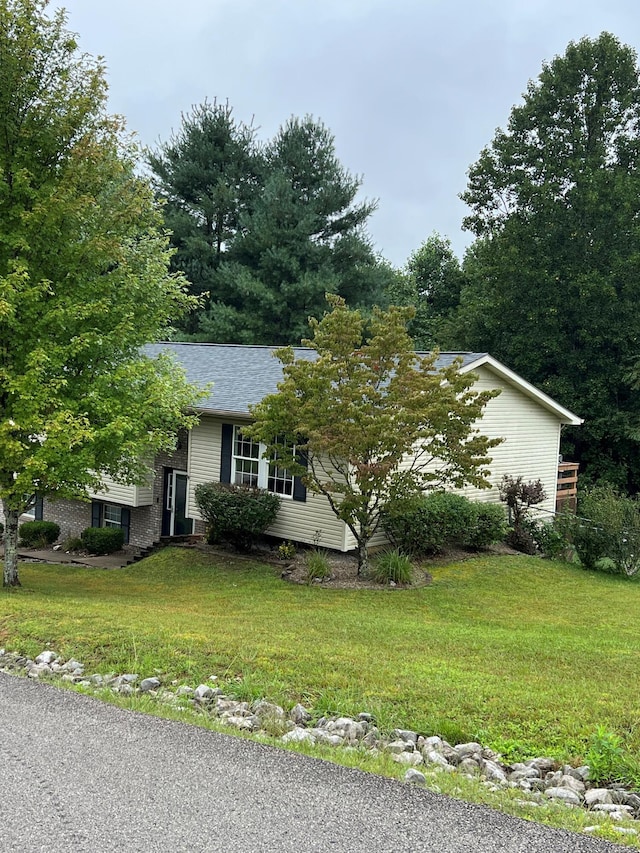 view of property hidden behind natural elements with a shingled roof and a front lawn