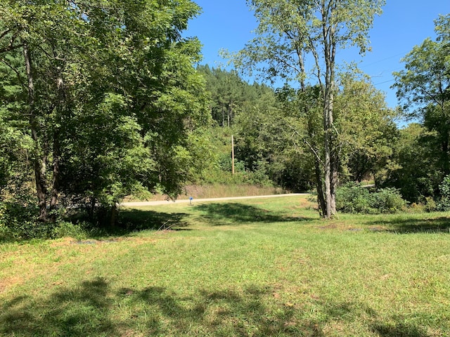 1328 Landsaw Rd, Campton KY, 41301 land for sale