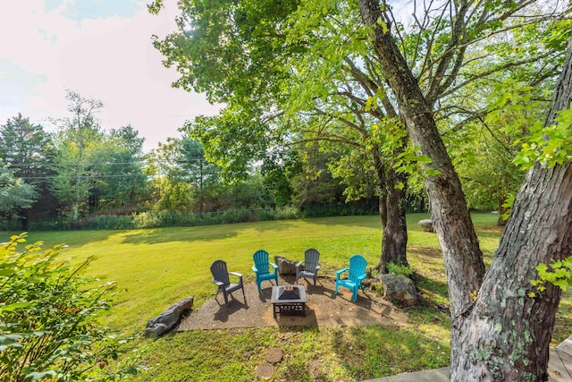 view of yard with an outdoor fire pit