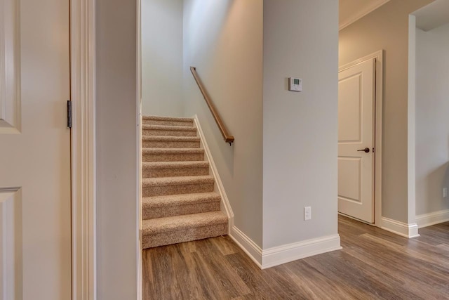 staircase with dark hardwood / wood-style floors