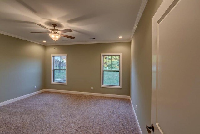 empty room featuring ornamental molding, ceiling fan, and carpet flooring