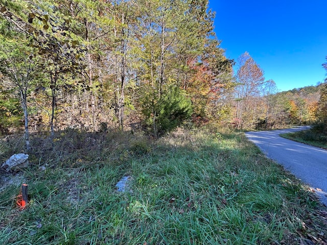 LOT2 Buck Creek Cir, Somerset KY, 42501 land for sale