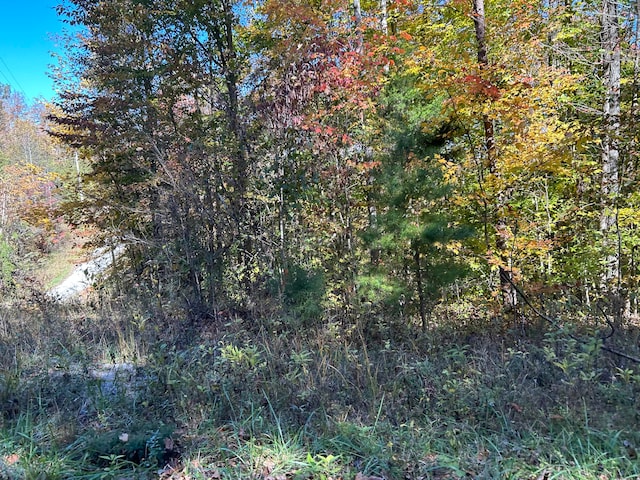 Listing photo 2 for LOT2 Buck Creek Cir, Somerset KY 42501