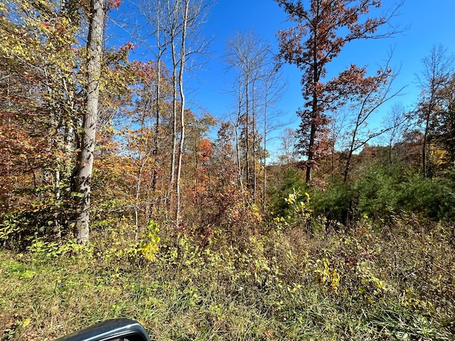 LOT7 Buck Creek Cir, Somerset KY, 42501 land for sale