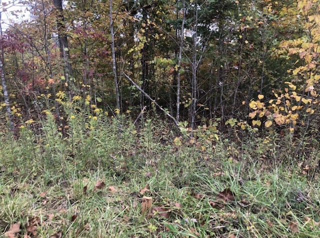 LOT8 Buck Creek Cir, Somerset KY, 42501 land for sale