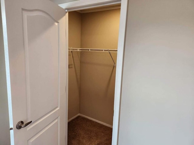 view of closet