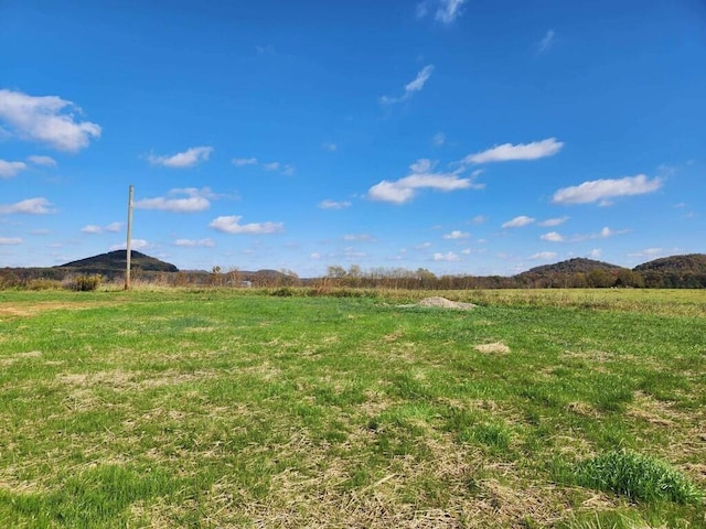 view of yard featuring a mountain view and a rural view