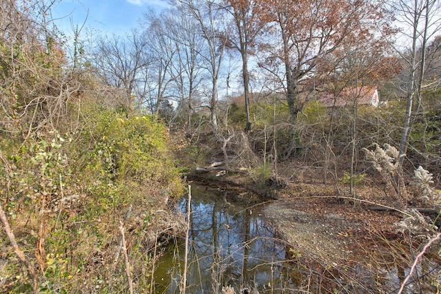 view of local wilderness with a water view