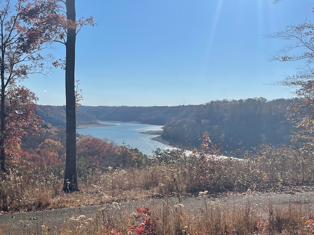 LOT88 Stillwater, Russell Springs KY, 42642 land for sale