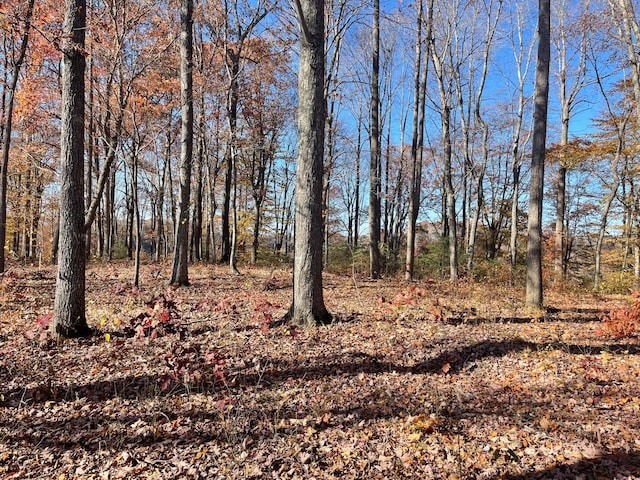 Listing photo 3 for LOT88 Stillwater, Russell Springs KY 42642