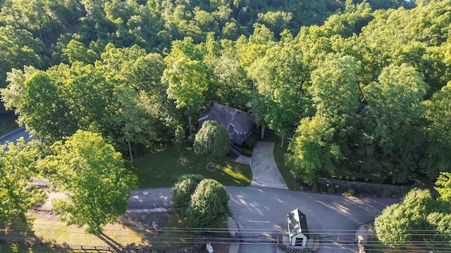 aerial view with a view of trees