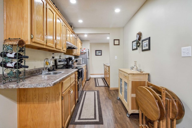 kitchen featuring stainless steel electric range, sink, and dark wood-type flooring