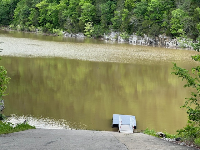 water view with a boat dock