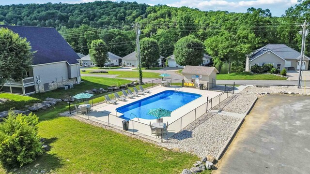 view of pool with a yard and a patio area