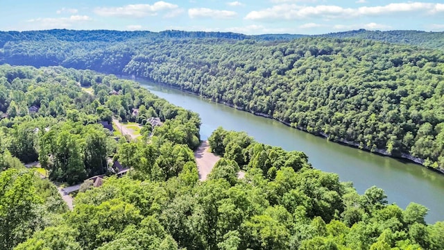 bird's eye view with a wooded view and a water view