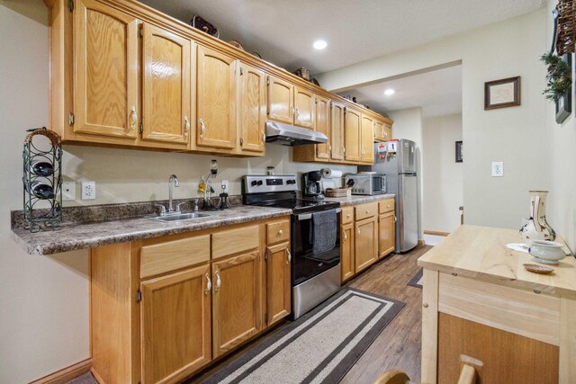 kitchen with dark hardwood / wood-style flooring, stainless steel appliances, and sink