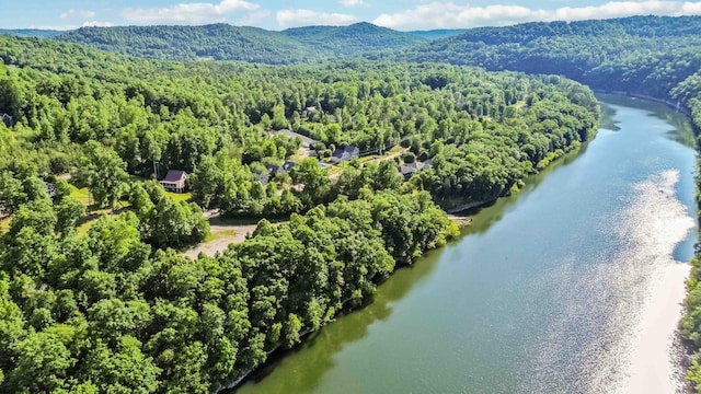 birds eye view of property with a forest view and a water and mountain view