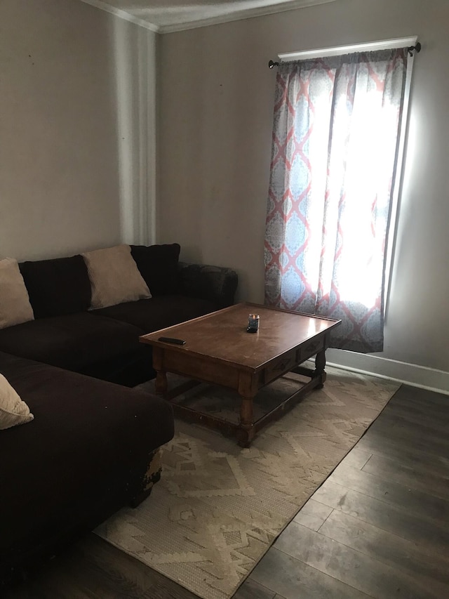 living room with hardwood / wood-style floors and crown molding