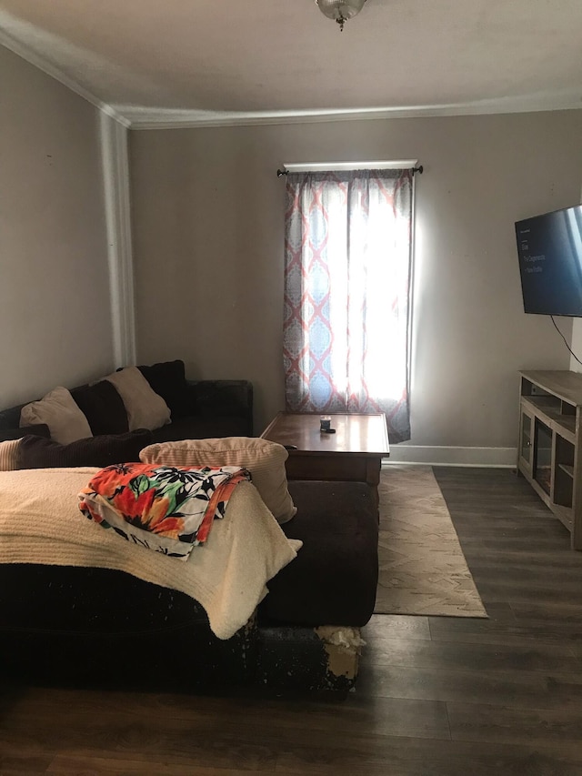 bedroom featuring crown molding and dark wood-type flooring