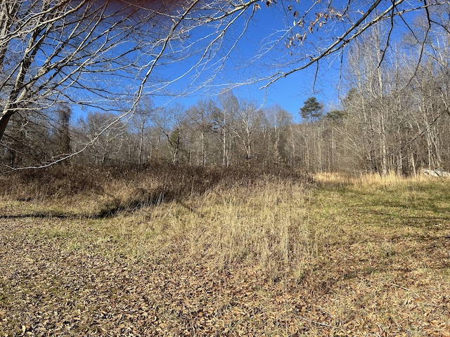 view of local wilderness